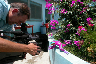 Patrick filming outside the local alebrijes carving of a colorful lizard