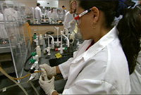 Students working in the lab