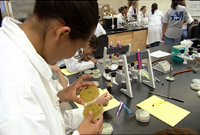 Studen in the MPSW Laboratory looking at samples in petri dish