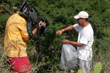 John DeFreitas collecting plant samples