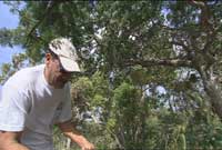 Biologist John DeFreitas outside collecting plants