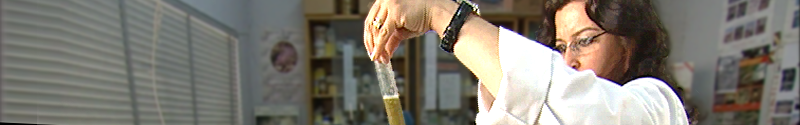 Scientist holding test tubes