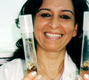 Image of Dr. Sawsan Oran